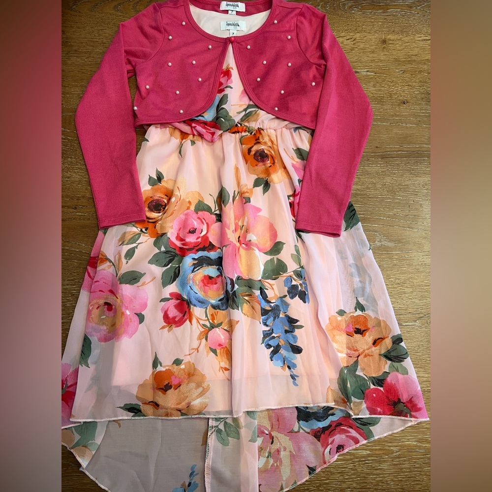 Girls spring dress with sweater. NWT